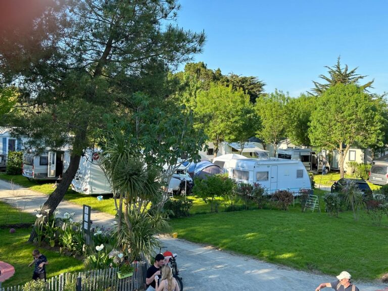 IMG 20240512 WA0084(2)